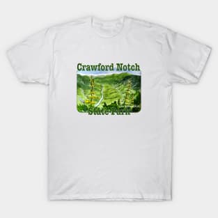 Crawford Notch State Park, New Hampshire T-Shirt